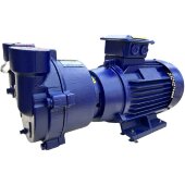 2BV2071 вакуумный насос для выпарки 2BV2071 вакуумный насос для выпарки