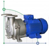 2BV5110, AISI 316 вакуумный насос для агрессивных газов 2BV5110, AISI 316 вакуумный насос для агрессивных газов