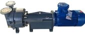 Вакуумный насос 2BV6161 Ex (AISI 316) Вакуумный насос 2BV6161 Ex (AISI 316)