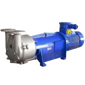 Вакуумный насос 2BV6131 Ex (AISI 316) Вакуумный насос 2BV6131 Ex (AISI 316)